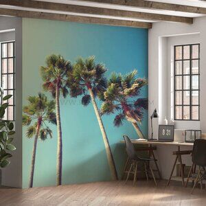 Four Tall Palm Trees Wallpaper